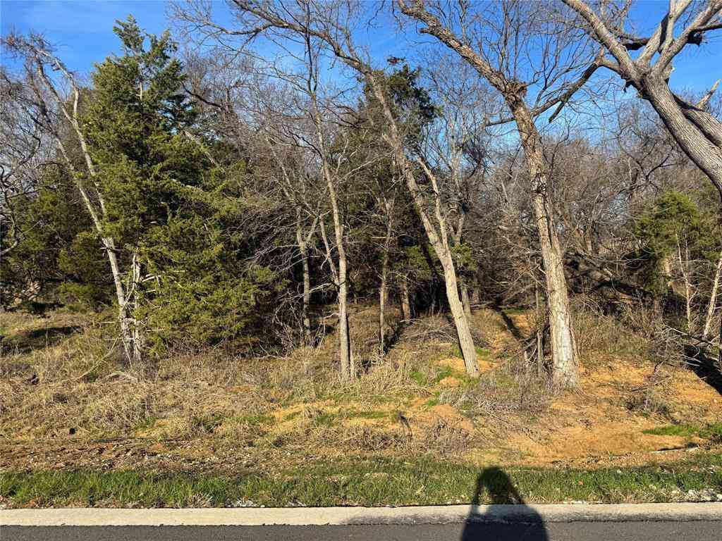 Vacant Land For Sale - LOT 97 Castlewood Street<br/> Grayson County, Gordonville, TX 76245