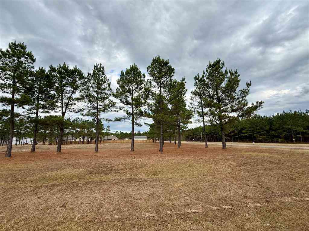 Vacant Land For Sale - 201 Chapel Creek<br/> Princeton, LA 71067