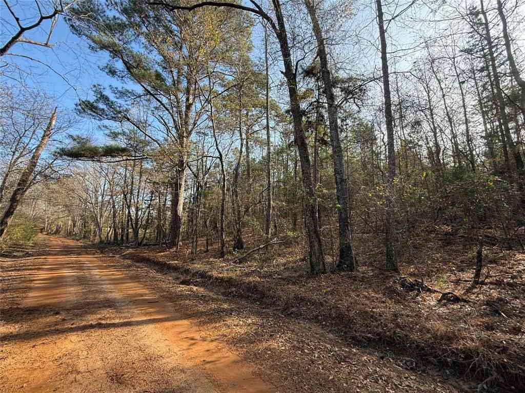 Vacant Land For Sale - TBD Cr 2733<br/> Marietta, TX 75566
