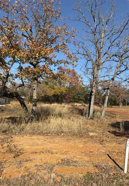 Vacant Land For Sale - 19668 Dove Ridge Drive<br/> Smith County, Lindale, TX 75771