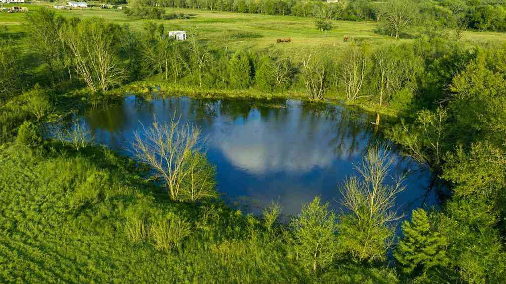 Vacant Land For Sale - 1495 Vz Cr 3908<br/> Wills Point, TX 75169