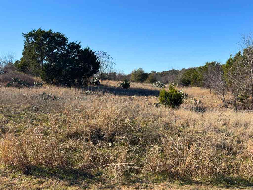 Vacant Land For Sale - LOT 115 Balleycastle Drive<br/> Palo Pinto County, Graford, TX 76449