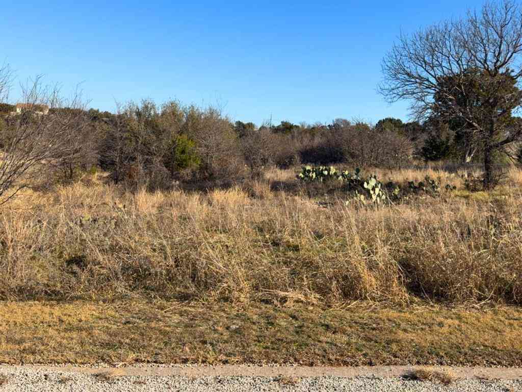 Vacant Land For Sale - LOT 160 Balleycastle Drive<br/> Palo Pinto County, Graford, TX 76449