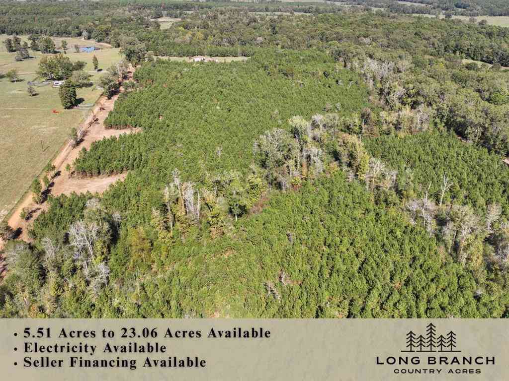 Vacant Land For Sale - 6 & 7 County Road 3121<br/> Long Branch, TX 75669
