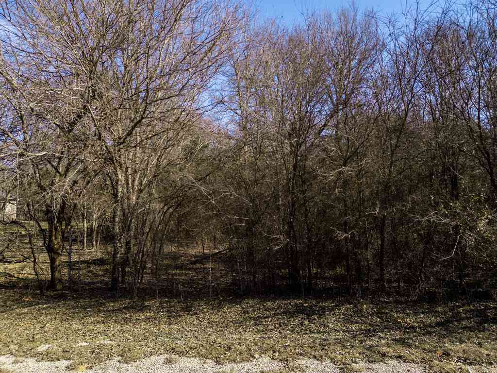 Vacant Land For Sale - 12039 Shady Creek Drive<br/> Whitney, TX 76692