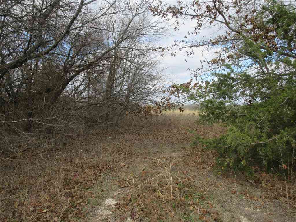 Vacant Land For Sale - TBD County Road 3040<br/> Bonham, TX 75418