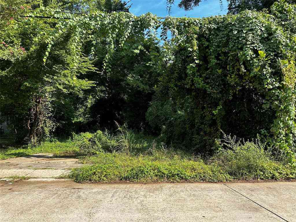 Vacant Land For Sale - 132 E Gregg Street<br/> Caddo County, Shreveport, LA 71104