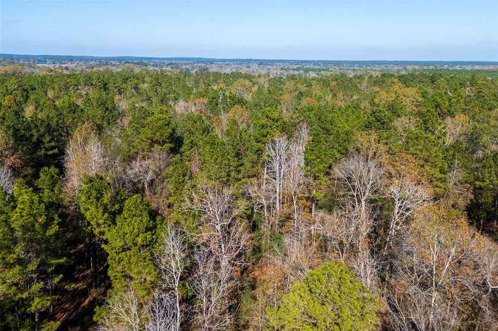 Vacant Land For Sale - 000 County Road 1135<br/> Houston County, Kennard, TX 75835