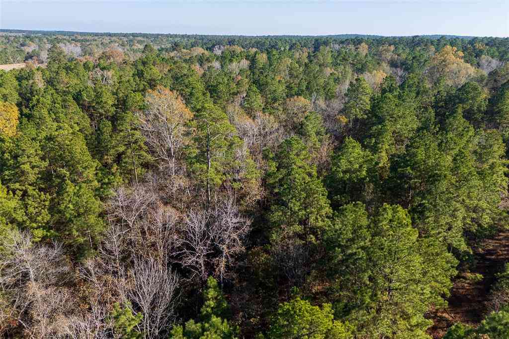 Vacant Land For Sale - 00 County Road 1135<br/> Houston County, Kennard, TX 75835