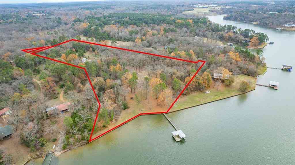 Vacant Land For Sale - 648 County Road 2337<br/> Camp County, Pittsburg, TX 75686