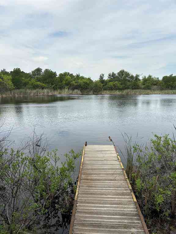 Vacant Land For Sale - TBD Causeway Road<br/> Jack County, Jacksboro, TX 76458