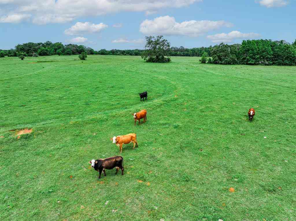 Vacant Land For Sale - 3732 Us Highway 84<br/> Anderson County, Palestine, TX 75801