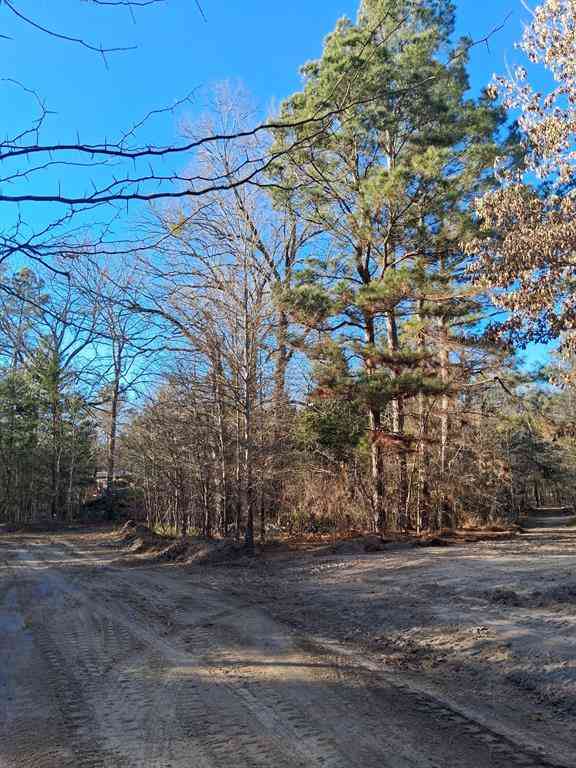 Vacant Land For Sale - TBD Hwy 37<br/> Red River County, Clarksville, TX 75426