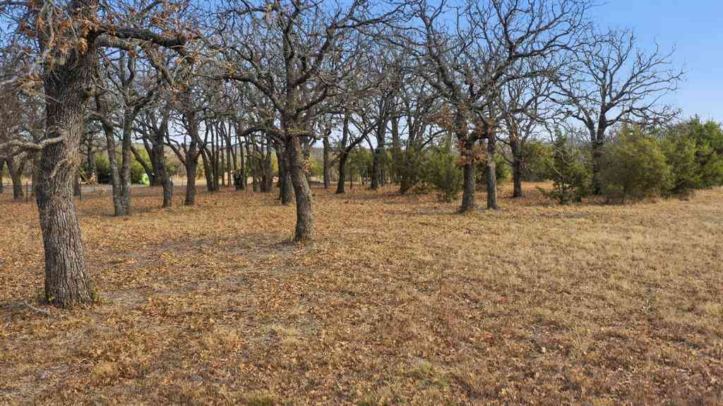 Vacant Land For Sale - TBD Dps Tower<br/> Jack County, Perrin, TX 76486