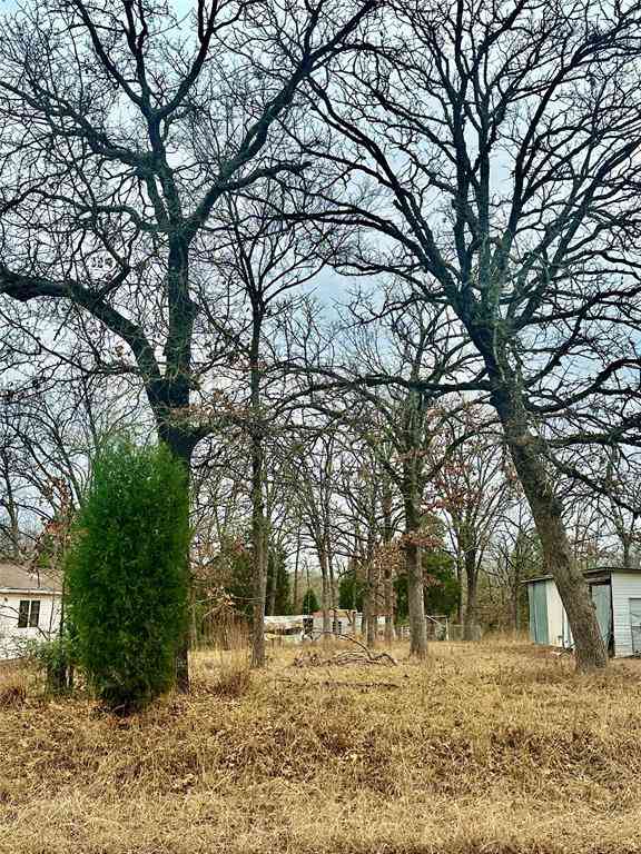 Vacant Land For Sale - 14543 San Jacinto Drive<br/> Henderson County, Log Cabin, TX 75148