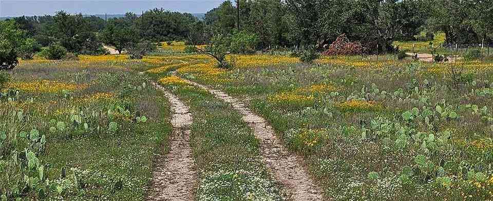 Vacant Land For Sale - TBD Starks Road<br/> Mason, TX 76856