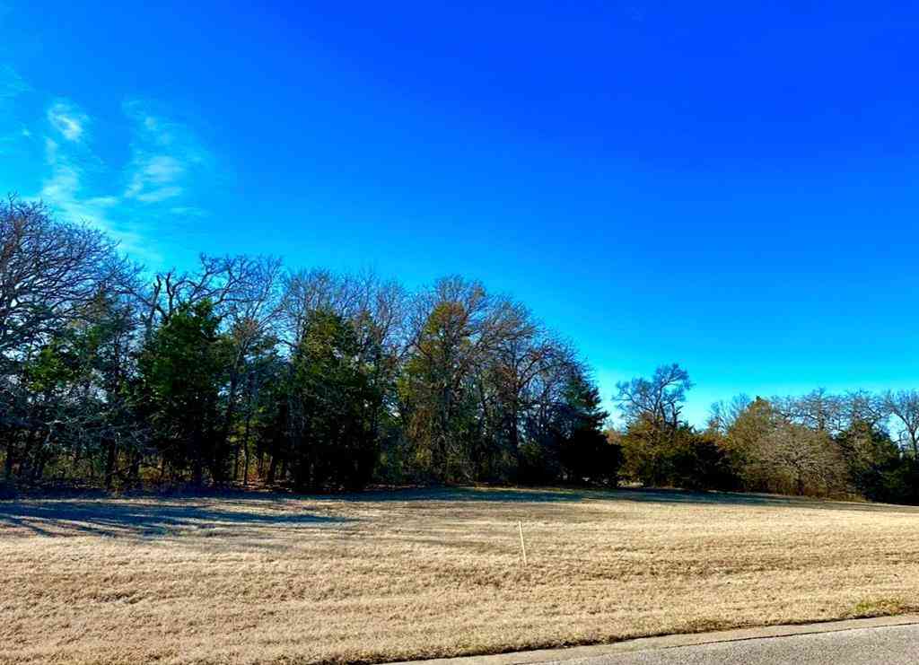 Vacant Land For Sale - LOT 15 Dublin Circle<br/> Gordonville, TX 76245