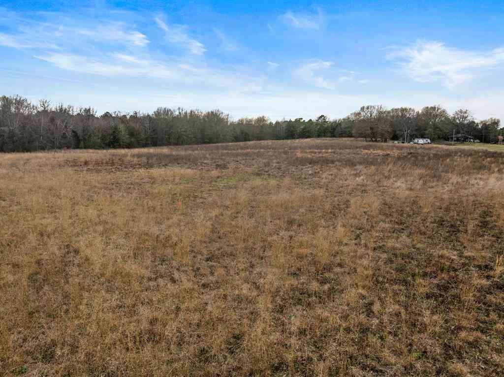 Vacant Land For Sale - TBD County Road 2212<br/> Pittsburg, TX 75686