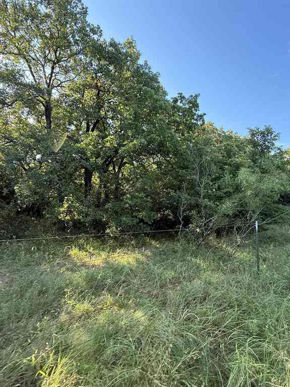 Vacant Land For Sale - 8801 Tx-59<br/> Bowie, TX 76230