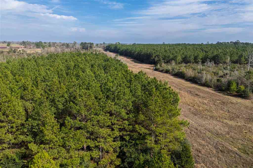 Vacant Land For Sale - 000 County Road 1245<br/> Center, TX 75935