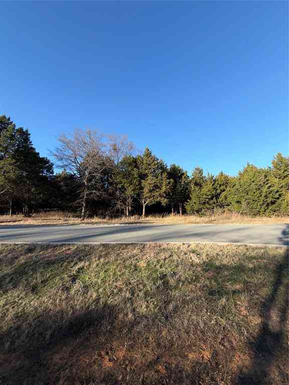 Vacant Land For Sale - LOT 3 Forest Hills Drive<br/> Gordonville, TX 76245