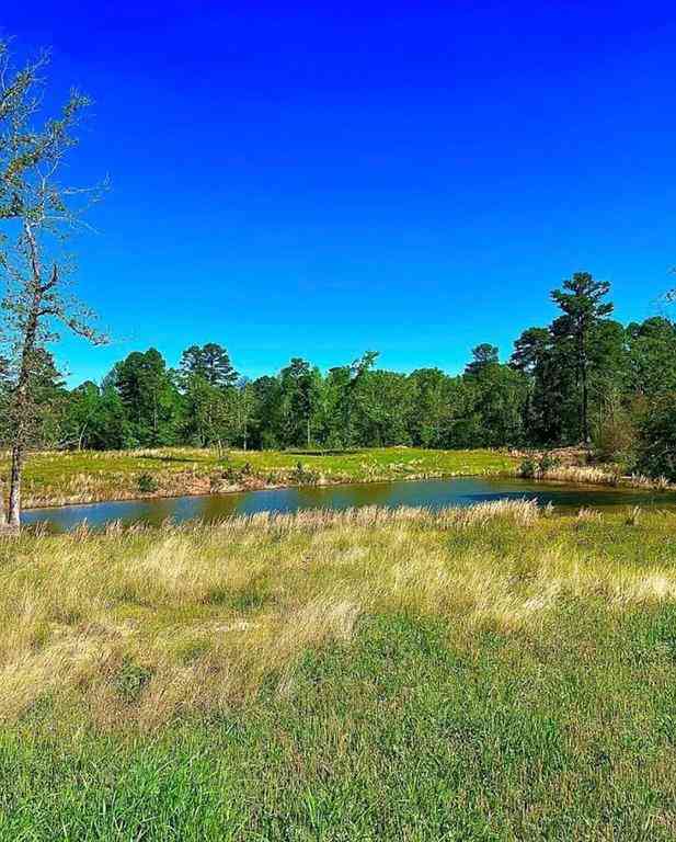 Vacant Land For Sale - 868 County Road 2920<br/> Alba, TX 75410