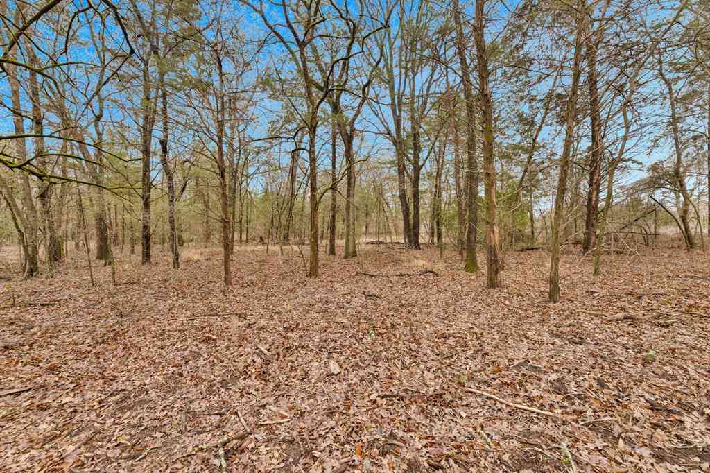 Vacant Land For Sale - TBD Co Rd 343<br/> Kaufman, TX 75142