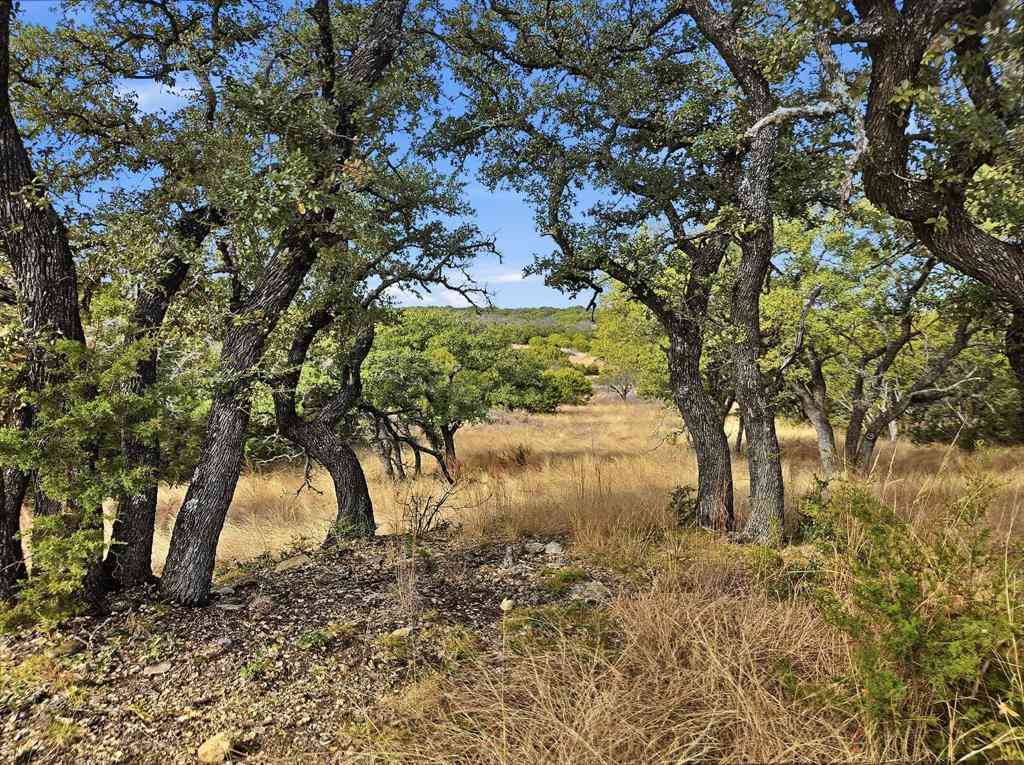 Vacant Land For Sale - TBD County Road 162<br/> Evant, TX 76525