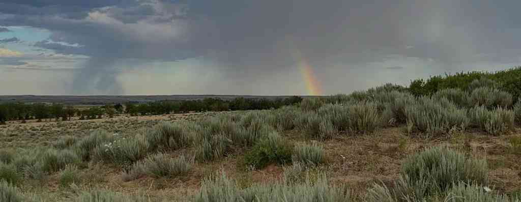 Vacant Land For Sale - W Wheeler<br/> Wheeler, TX 79061