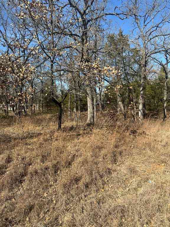Vacant Land For Sale - 176 Oak Trail<br/> Mabank, TX 75156
