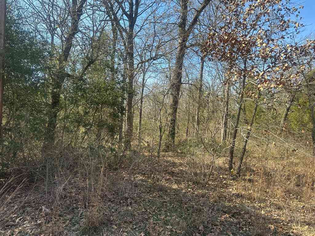 Vacant Land For Sale - 207 S Cherokee Shores Drive<br/> Mabank, TX 75156