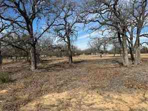 Vacant Land For Sale - TBD Cr 2030 Lot 7<br/> Glen Rose, TX 76043