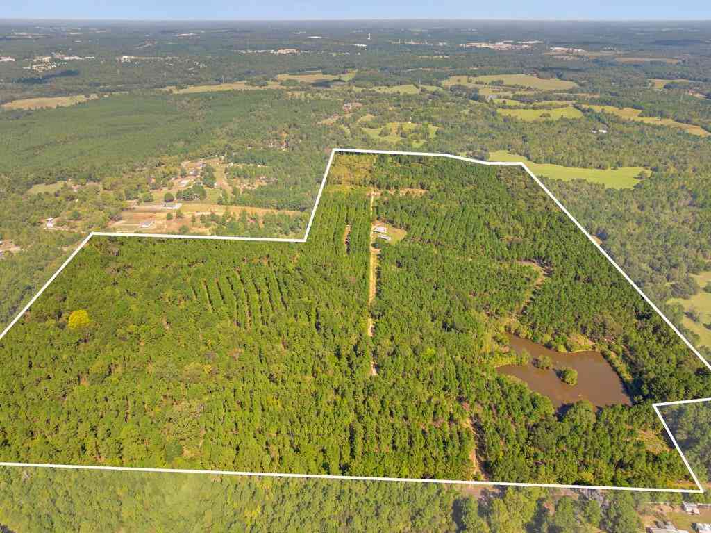 Vacant Land For Sale - 5379 Cr 385<br/> Smith County, Tyler, TX 75708