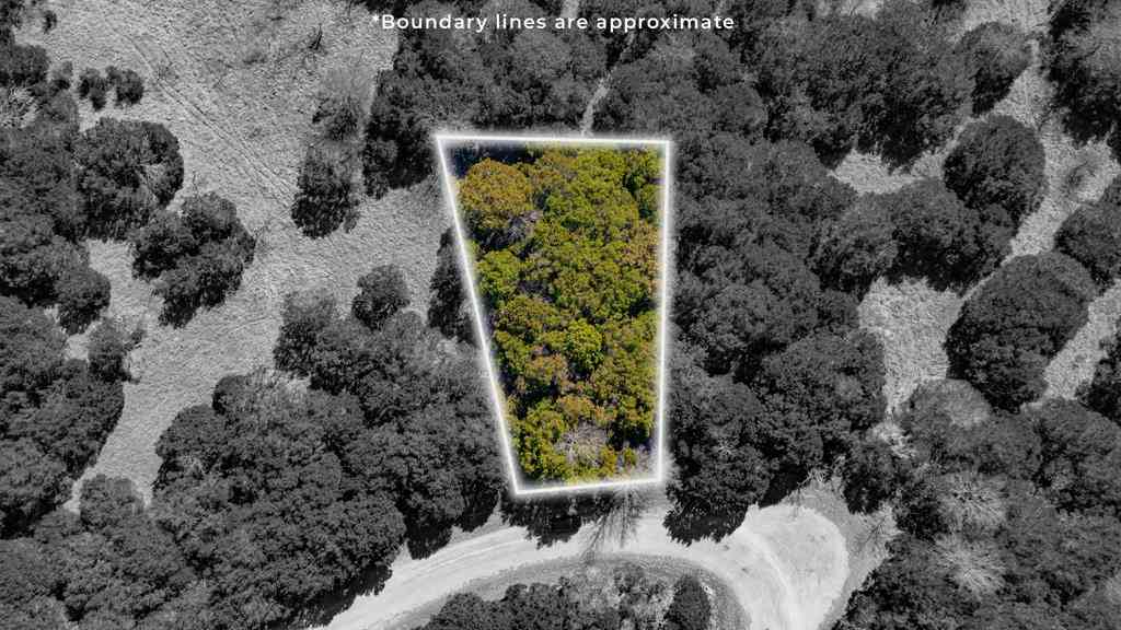 Vacant Land For Sale - 8077 Southhill Drive<br/> Hill County, Whitney, TX 76692