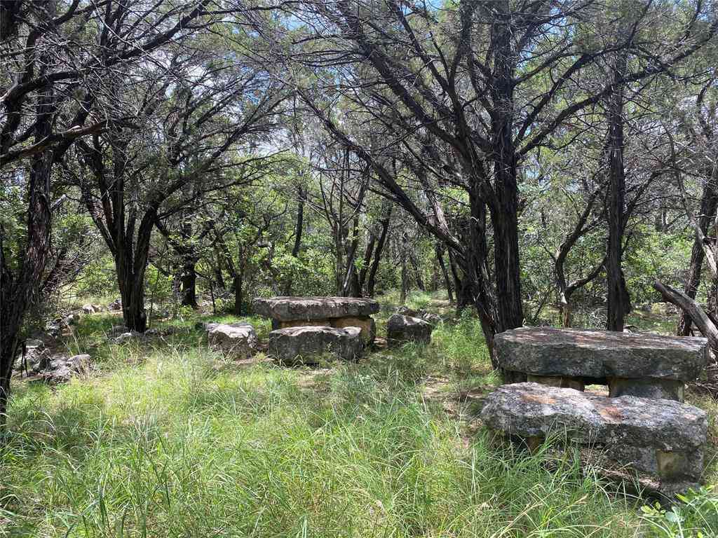 Vacant Land For Sale - PR 1032 Tx-p7 #2<br/> Bosque County, Meridian, TX 76665
