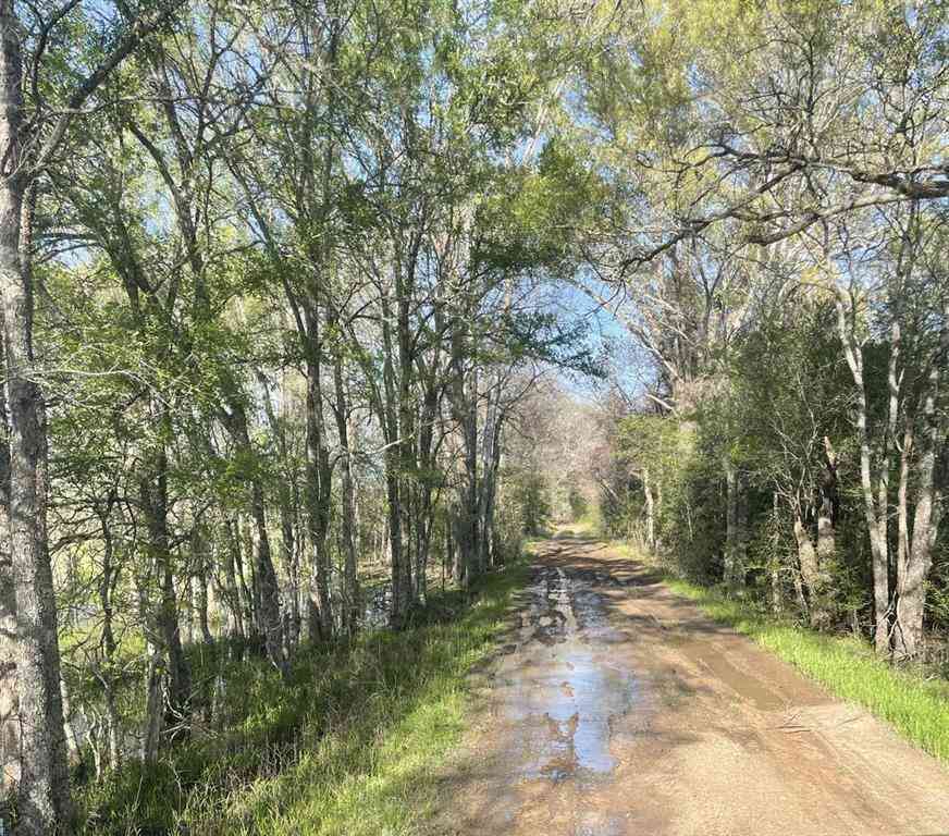 Vacant Land For Sale - TBD Fm 542 Road<br/> Oakwood, TX 75855