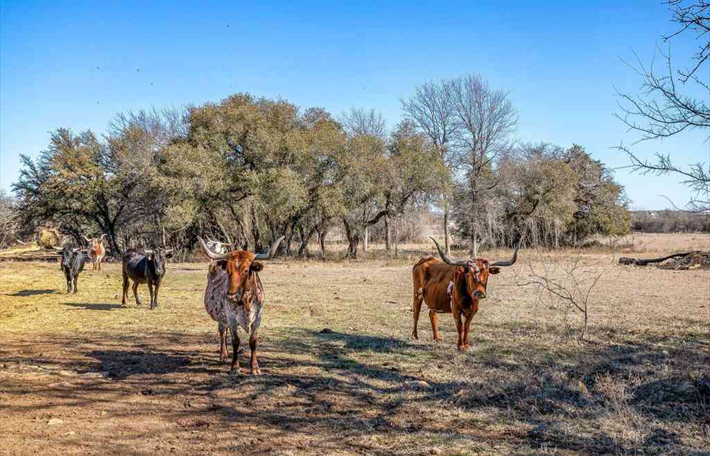 Vacant Land For Sale - 15 ACRES Fm 2210<br/> Wise County, Bridgeport, TX 76426