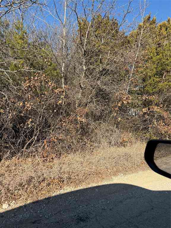 Vacant Land For Sale - 6110 N Oklahoma Trail<br/> Granbury, TX 76048