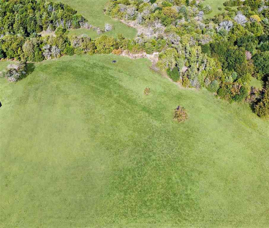 Vacant Land For Sale - 2635 Private Road 1167<br/> Hunt County, Farmersville, TX 75442