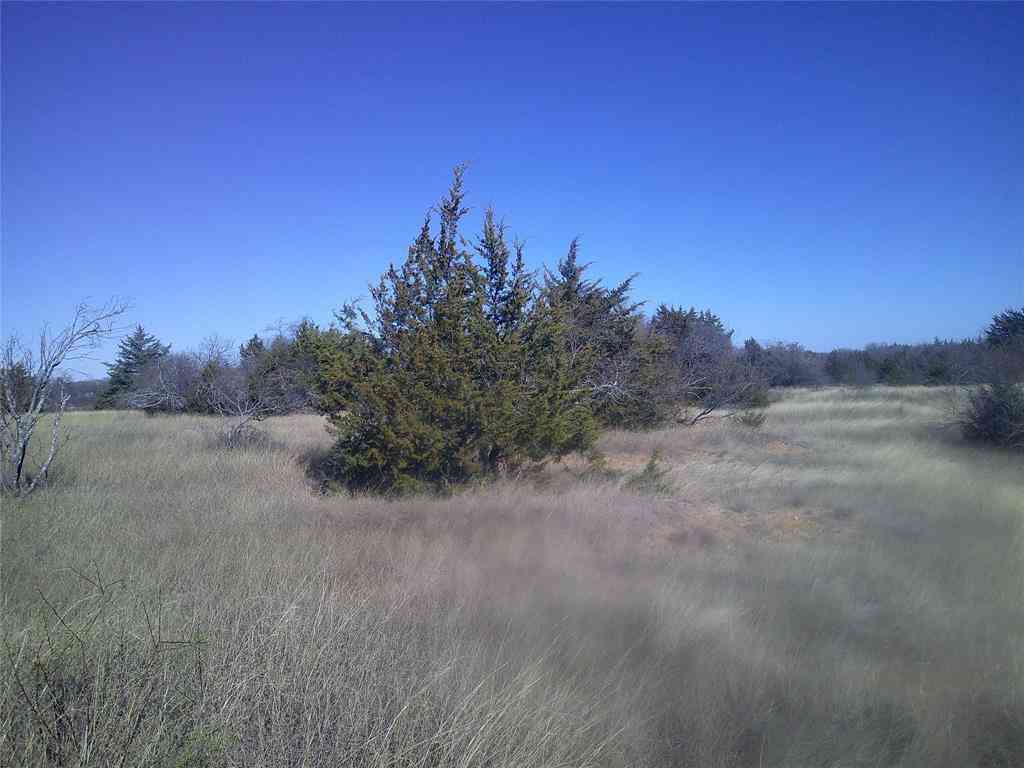 Vacant Land For Sale - TR 9 Cr 1750<br/> Wise County, Chico, TX 76431