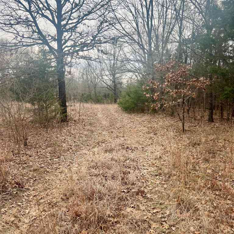 Vacant Land For Sale - TBD County Road 4574 #13743<br/> Hopkins County, Sulphur Springs, TX 75482
