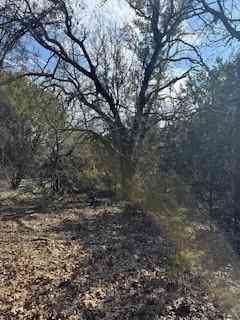 Vacant Land For Sale - 21039 Shady Oak Court<br/> Hill County, Whitney, TX 76692