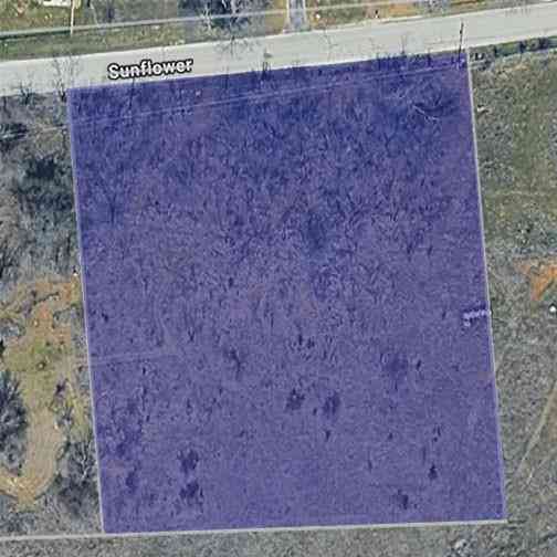 Vacant Land For Sale - 0000 Sunflower Road<br/> Wise County, Paradise, TX 76073