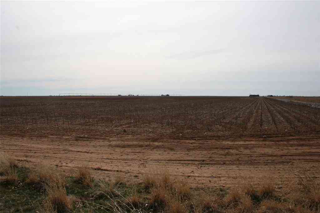 Vacant Land For Sale - 00FM 266 Fm266 Corner<br/> Knox County, Goree, TX 76363