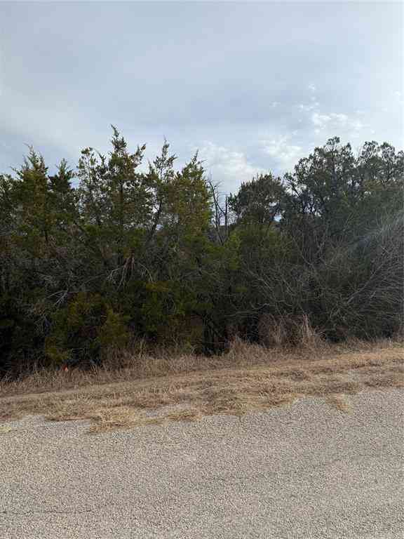 Vacant Land For Sale - 3111 Canadian River Trail<br/> Granbury, TX 76048