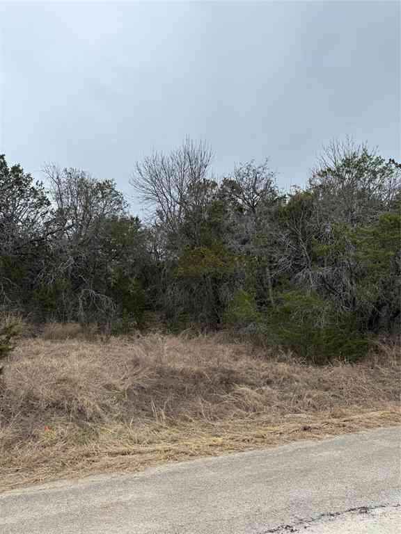 Vacant Land For Sale - 4611 Evening View Drive<br/> Granbury, TX 76048