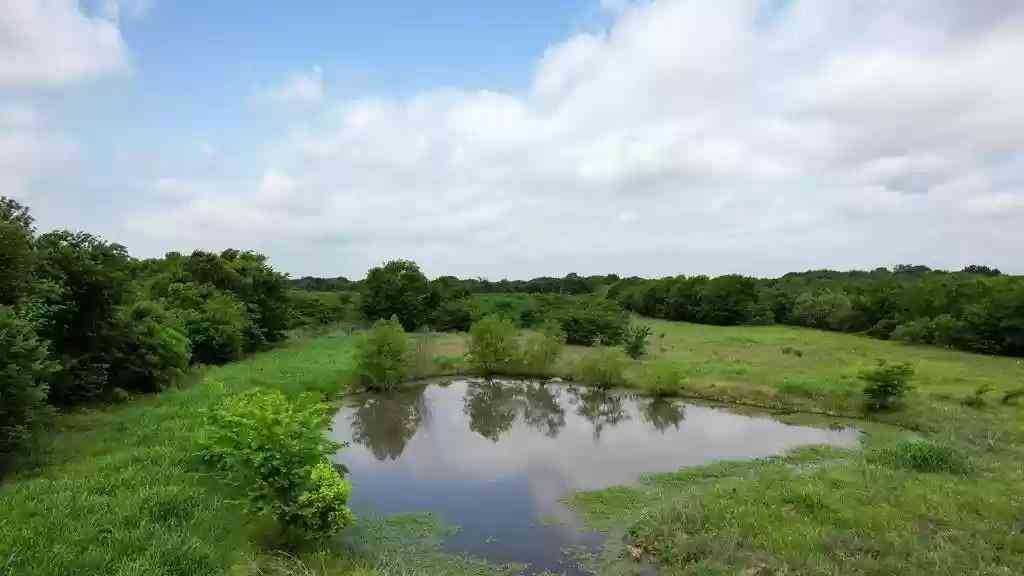 Vacant Land For Sale - TBD Tolosa Road<br/> Kaufman County, Kemp, TX 75143
