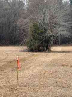 Vacant Land For Sale - Bellevue Road #LOT 1<br/> Haughton, LA 71037
