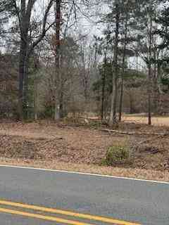 Vacant Land For Sale - Bellevue Road #LOT 2<br/> Haughton, LA 71037