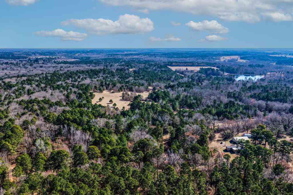 Vacant Land For Sale - 1609 C R 246 S<br/> Tyler, TX 75705